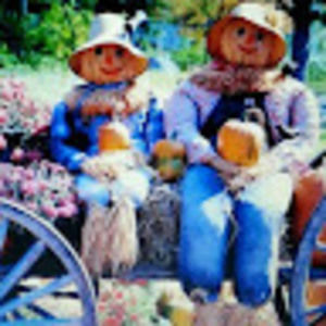 Meet your Posher, Carol